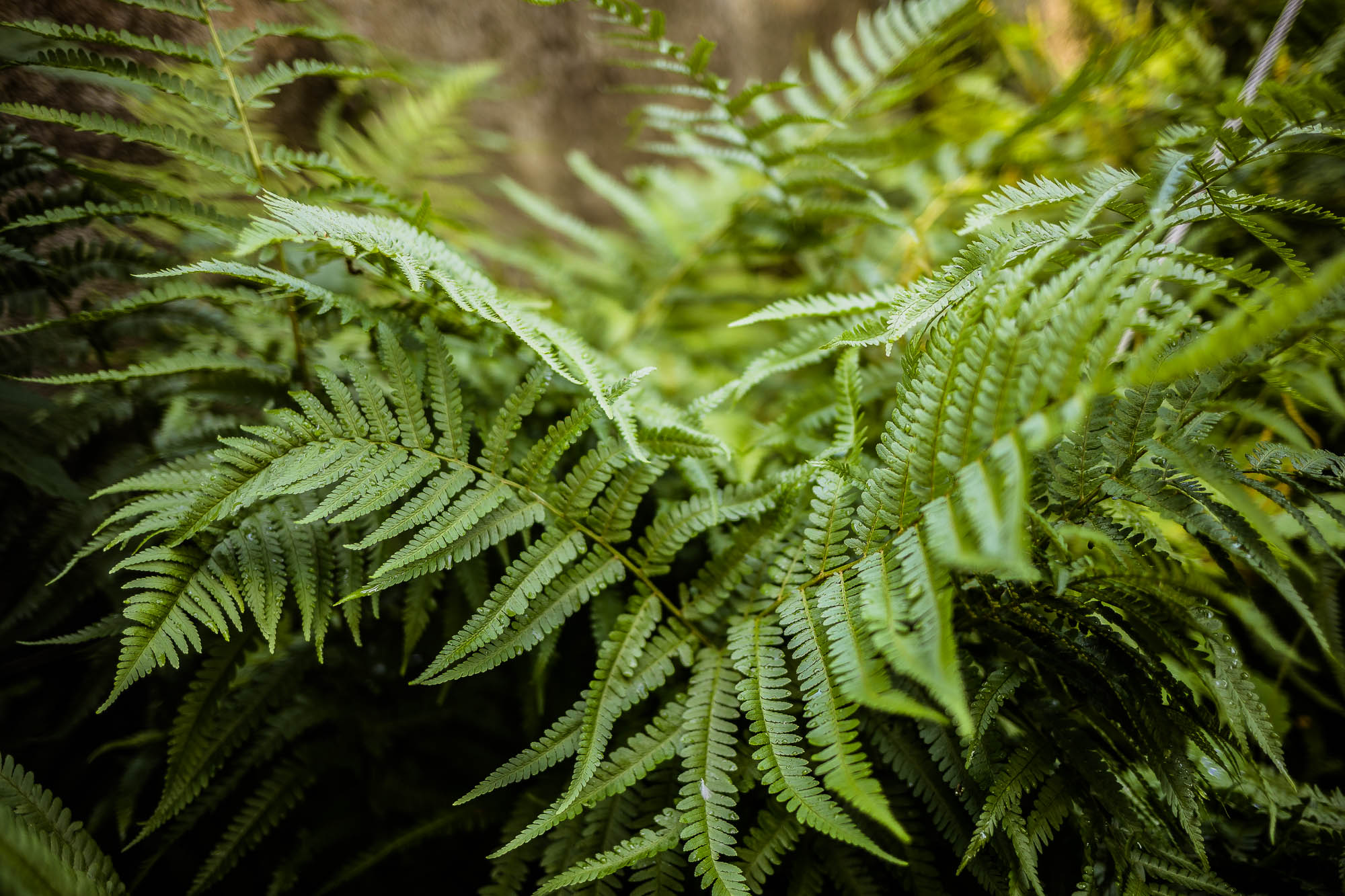 Export x3 5D4 0005 Hochzeit 2020 Claudia & Marco